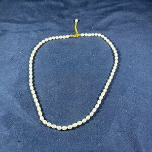 Freshwater Pearl Necklace With Gold-Plated Chain & Lobster Clasp